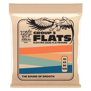 Ernie Ball Group III Flatwound Bass Guitar Strings, 45-100 Gauge (P02806)