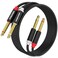 HOSONGIN Dual 1/4 inch TS to Dual 1/4 inch TS Stereo Interconnect Insert Cable, PVC Jacket Gold-Plated Plug Double Shielding Cable, 10 Feet