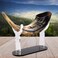 Shofar Rams Horn Stand Acrylic Display Stand Shofar Horn Display Stand Shofar Stand (Black)