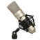 LyxPro LDC-10 Cardioid Condenser Studio Microphone, Shockmount, 10 Ft XLR Cable &amp; Foam Wind Screen for Professional Home Recording
