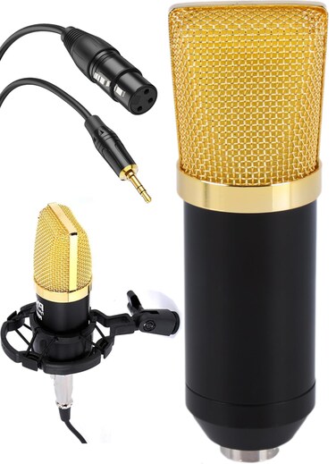 Pyle Cardioid Condenser Studio Microphone with Shock Mount Home Studio XLR to 3.5MM XLR Cable Included