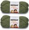 Softee Chunky Yarn-Forest