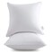 Oubonun 18"x18" Pillow Inserts (Set of 2) - Throw Pillow Inserts with 100% Cotton Cover - 18 Inch Square Interior Sofa Pillow Inserts - Decorative Pillow Insert Pair - White Couch Pillow
