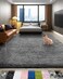 Ophanie Area Rugs for Bedroom Living Room, Grey Fluffy Fuzzy Shag Shaggy Soft Plush Carpet, 4x6 Indoor Floor Gray Rug for Kids Home Dorm Decor Aesthetic