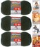 Bernat Softee Chunky Yarn Bundle Super Bulky #6, 3 Skeins Dark Green 28237