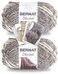 Bernat Blanket Yarn - Big Ball (10.5 oz) - 2 Pack with Pattern Cards in Color (Silver Steel)