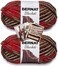 Bernat Blanket Yarn - Big Ball (10.5 oz) - 2 Pack with Patterns (Raspberry Trifle)