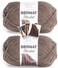 Bernat Blanket Yarn - Big Ball (10.5 oz) - 2 Pack with Pattern Cards in Color (Taupe)
