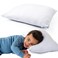 DREAMLAND BABY Toddler Pillow (1-Pack): Includes 100% Cotton Pillow + White Viscose Cover (97% Viscose, 3% Spandex) - Small Size for Kids and Travel