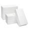 6 Pack Foam Blocks for Crafts - Polystyrene Brick Rectangles for Art Sculpting, Flower Arrangements, DIY, Packing (8 x 4 x 2 in)