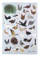 The Unemployed Philosophers Guild Fowl Towel - 100% Cotton Bird Themed Novelty Kitchen Dish Towel Featuring Ducks, Chickens, Swans, and More, 18" x 25.5