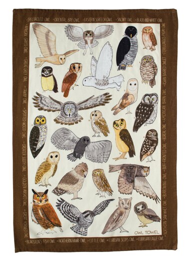 The Unemployed Philosophers Guild Owl Towel - 100% Cotton Bird Themed Novelty Kitchen Dish Towel Featuring 24 Different Owls, 18" x 25.5