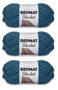 Bernat 161200-745 Blanket Yarn - Dark Teal