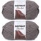 Bernat Blanket Big Ball Yarn (2-Pack) Dark Grey 161110-10044