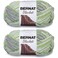 Bernat Blanket Big Ball Yarn (2-Pack) Lilac Leaf 161110-10240
