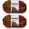 Bernat Blanket Big Ball Yarn (2-Pack) Harvest 161110-10521
