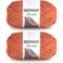 Bernat Blanket Big Ball Yarn (2-Pack) Pumpkin Spice 161110-10630