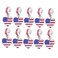 PRETYZOOM 10pcs American Flag Charms USA Flag Pendant Enamel Charms Flag Beads for Independence Day DIY Necklace Bracelet Jewelry Making Crafting