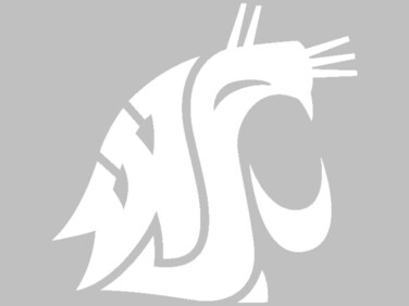 Washington State University S06834 Window Decals