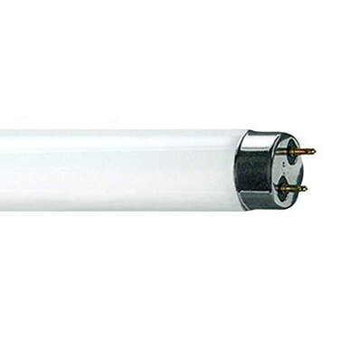 Current Professional Lighting 25CAC/F/CD4-MPD Incandescent Deco/Candle