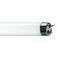 Current Professional Lighting 25CAC/F/CD4-MPD Incandescent Deco/Candle