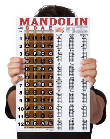 Laminated Mandolin Fretboard Notes &amp; Easy Beginner Chord Chart 11"x17" Instructional Poster by A New Song Music