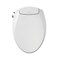 Brondell Bidet Toilet Seat Non-Electric Swash Ecoseat, Fits Elongated Toilets, White - Dual Nozzle System, Ambient Water Temperature - Bidet with Easy Installation