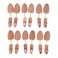 Cedar Elements Little Wholesale Program - Combination Cedar Shoe Trees - 6 Pairs (L)