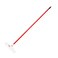 ROBERTS 12" Carpet Rake and Groomer with 51" Handle