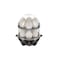 Hamilton Beach 3-in-1 Electric Egg Cooker for Hard Boiled Eggs, Poacher, Omelet Maker &amp; Vegetable Steamer, Holds 14, Black (25508)
