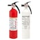 Kidde Kitchen Fire Extinguishers for Home &amp; Office Use, 2 Pack: One 1-A:10-B:C and One Specialty Kitchen Extinguisher, Wall Mount &amp; Strap Brackets Included