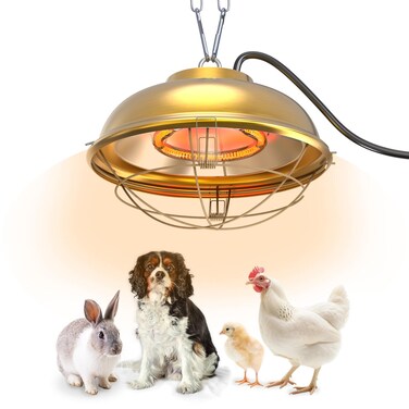 WORLEYX 300 Watt Heat Lamp for Chicken Coop - Professional Waterproof Chicken Coop Heater for Indoor &amp; Outdoor Used - Suitable for Chick, Duck, Rabbit and Dog