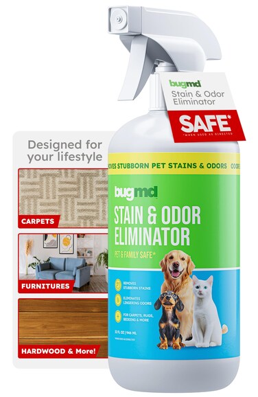 BugMD Enzyme Cleaner &amp; Odor Eliminator for Strong Odor (32oz) - Pet Stain Remover for Carpet, Upholstery, Hardwood, Dog &amp; Cat Urine - Powerful Deodorizer for Home, Floors, Furniture, &amp; Carpet Cleaning