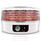NutriChef Food Dehydrator - Dehydrate Beef Jerky, Meat, Mushrooms, Fruits &amp; Vegetables at Home   Utilizes High-Heat Circulation for Even Dehydration   Includes 5 Easy-to-Clean Trays   White