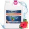 Steam &amp; Go Demineralized Water for Steam Cleaner, PVC-Free Floor Cleaner Liquid Compatible With Any Mop Steamer, Ready-to-Use Multisurface Cleaner, Scented Mop Solution, Tropical Bloom, 32 oz
