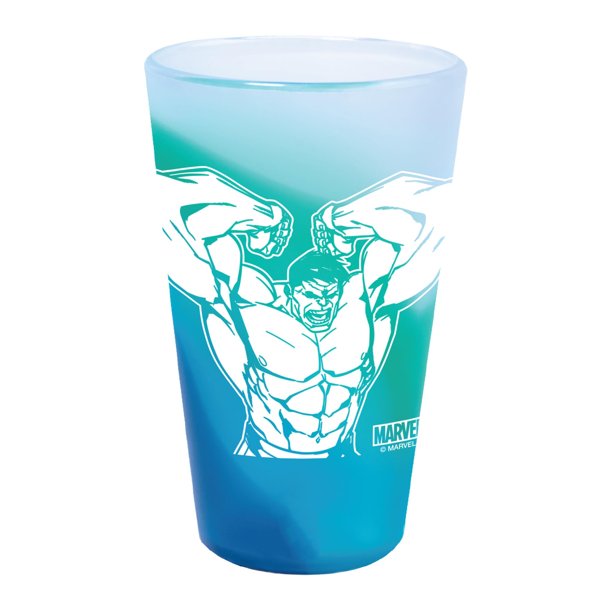 Buy WinCraft 16 oz Silicone Pint Glass Marvel Hulk Online | Carrefour UAE