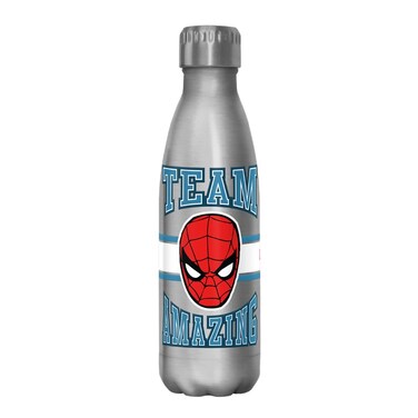 Marvel Team Amazing 17 oz Stainless Steel Water Bottle, 17 Ounce, Multicolored