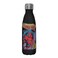 Marvel Spidey Cover 17 oz Stainless Steel Water Bottle, 17 Ounce, Multicolored