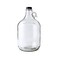 FastRack 70-1SVE-5J2I Glass Water Bottle Includes 38 mm Polyseal Cap, 1 gallon Capacity, Clear