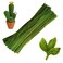 Swpohrat 100 Pieces Moss Green Pipe Cleaner Craft Set,Thick Fuzzy Chenille Stem Pipe Cleaners for DIY Craft Projects and Decorations