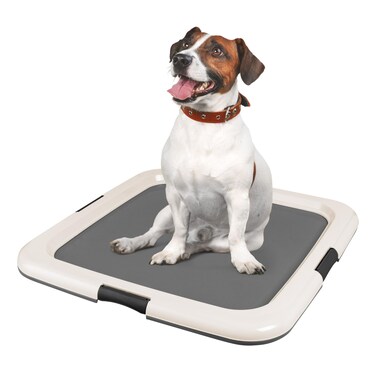 IRIS USA Pee Pad Holder, Square Dog Puppy, Secured Latches, Non-Skid Feet, High Polish Finish for Easy Cleaning, Leak Protection, Indoor Potty Tray, Fits 22"x22" Pad or Larger, Dark Gray