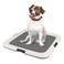IRIS USA Pee Pad Holder, Square Dog Puppy, Secured Latches, Non-Skid Feet, High Polish Finish for Easy Cleaning, Leak Protection, Indoor Potty Tray, Fits 22"x22" Pad or Larger, Dark Gray