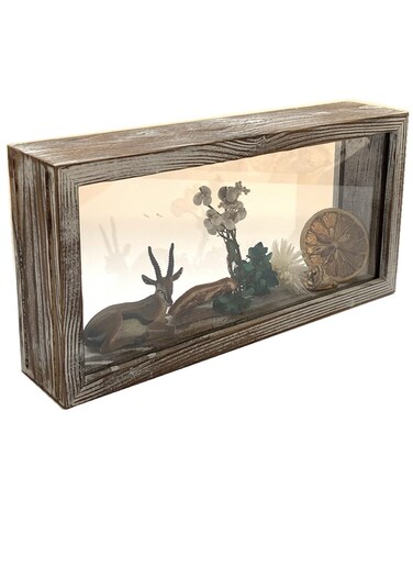 Shadow Photo Frame,Wooden Double-Sided High-Definition Plexiglass Storage Box 10x5" Clear Desktop Postcard Display Commemorative photo Collection frame Animal plant herbarium frame (Rust White)
