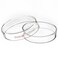 stonylab Glass Petri Dish, 100x20 mm Autoclavable Borosilicate Glass Cell Culture Dish Petri Dish with Clear Lid for Laboratory