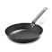 Merten &amp; Storck Pre-Seasoned Carbon Steel 10" Frying Pan Skillet, Cast Iron Lightweight, Durable, Sear Grill Broil Fry, Indoor Outdoor Cooking, Easy to Clean, Oven Safe, Induction, Steel Handle, Black