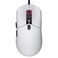 Cougar Minos Neo RGB Wired Gaming Mouse - 63g Ultra-Light, Symmetrical Design, PAW 3327 6200 DPI Optical Sensor, 1000Hz Polling Rate, Windows-Compatible, White
