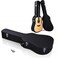 AW Acoustic Guitar Case Hard Dreadnought 41 Inch Wooden Hardshell Carrying Case with Lock Accessory Compartment for Airline Travel Black