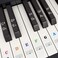 Fansjoy Piano Keyboard Stickers for 88/61/54/49/37 Keys, Colorful Large Bold Letter Piano Key Stickers, Transparent &amp; Removable Piano Keyboard Note Stickers Labels for Kids Beginners Learning Piano