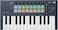 Novation FLkey Mini - Portable 25-Key, USB, MIDI Keyboard Controller with FL Studio Integration for Music Production