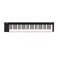 Nektar SE61 - USB MIDI Controller Keyboard with Nektar DAW Integration, Black